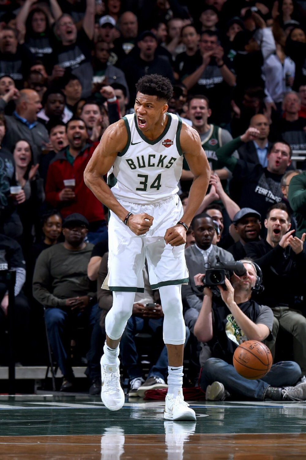 数级成长 数级成长